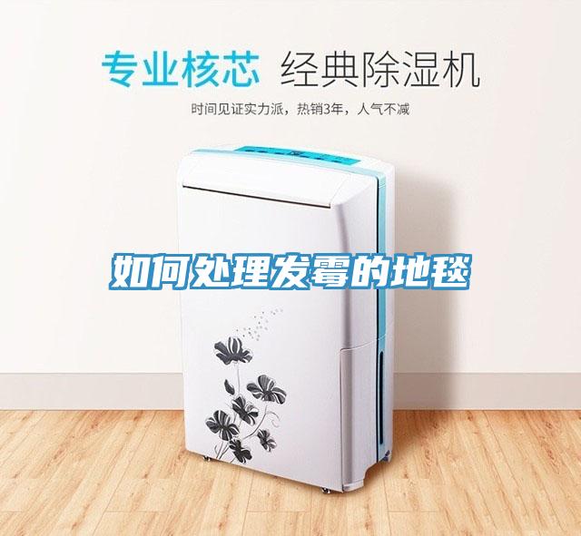 如何處理發霉的地毯