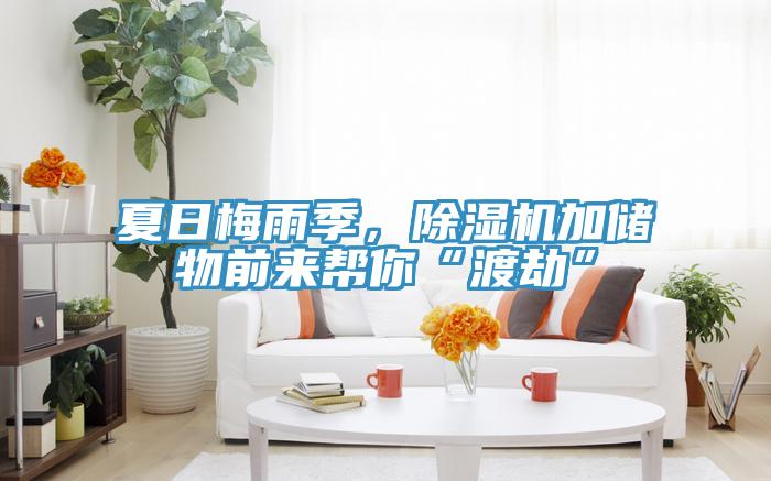 夏日梅雨季，除濕機(jī)加儲物前來幫你“渡劫”