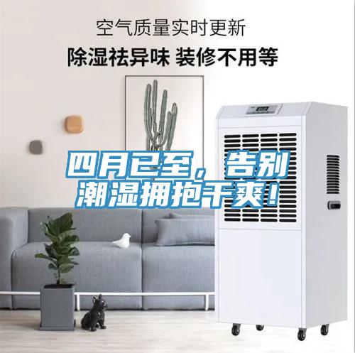 四月已至，告別潮濕擁抱干爽！