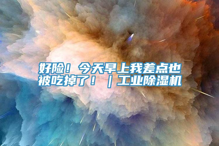 好險(xiǎn)!今天早上我差點(diǎn)也被吃掉了!|工業(yè)除濕機(jī)
