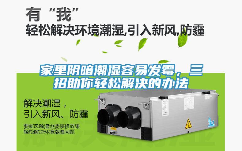 家里陰暗潮濕容易發(fā)霉，三招助你輕松解決的辦法