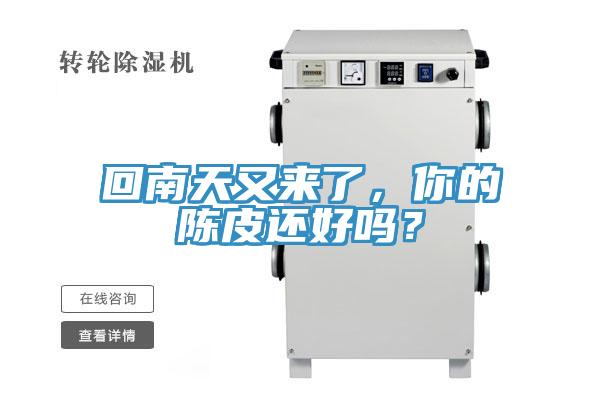 回南天又來了，你的陳皮還好嗎？