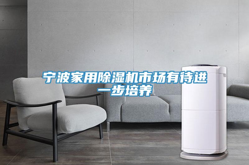 寧波家用除濕機市場有待進一步培養(yǎng)