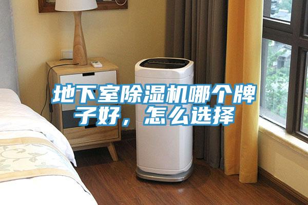 地下室除濕機哪個牌子好，怎么選擇