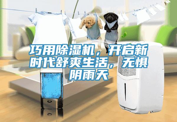 巧用除濕機，開啟新時代舒爽生活，無懼陰雨天
