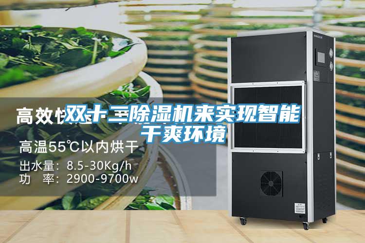 雙十二除濕機來實現(xiàn)智能干爽環(huán)境
