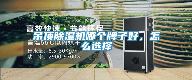 吊頂除濕機哪個牌子好，怎么選擇