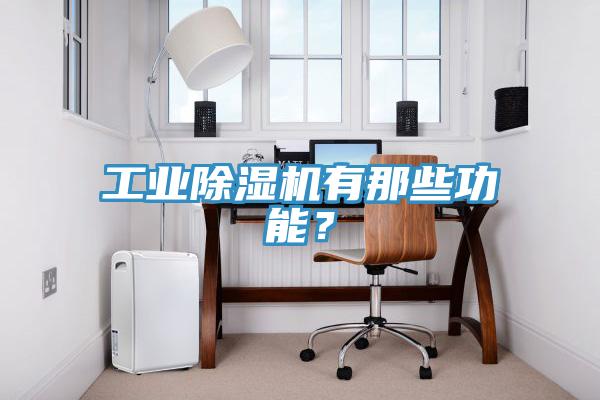 工業(yè)除濕機有那些功能？
