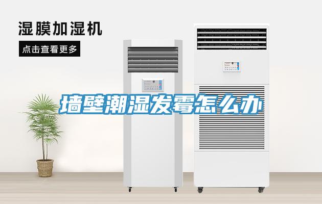 墻壁潮濕發霉怎么辦