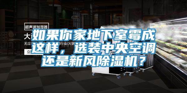 如果你家地下室霉成這樣，選裝中央空調還是新風除濕機？