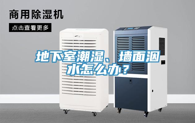 地下室潮濕、墻面洇水怎么辦?
