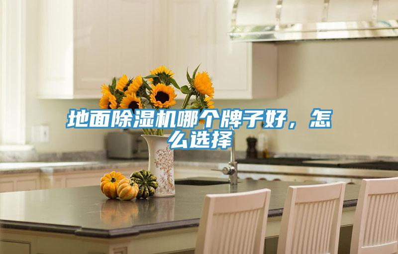 地面除濕機(jī)哪個(gè)牌子好，怎么選擇