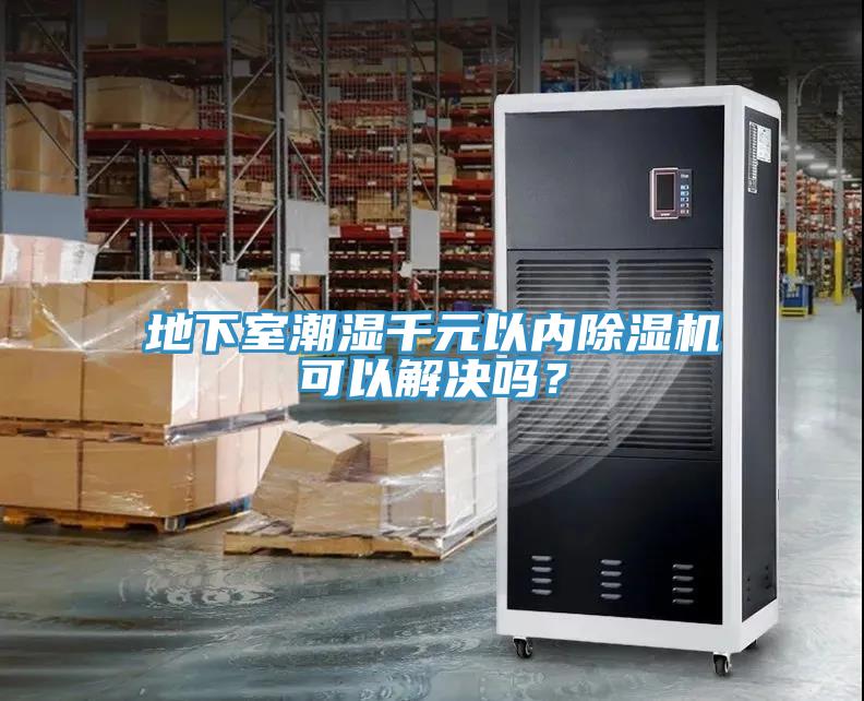 地下室潮濕千元以內除濕機可以解決嗎？