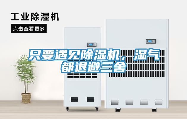 只要遇見除濕機,濕氣都退避三舍