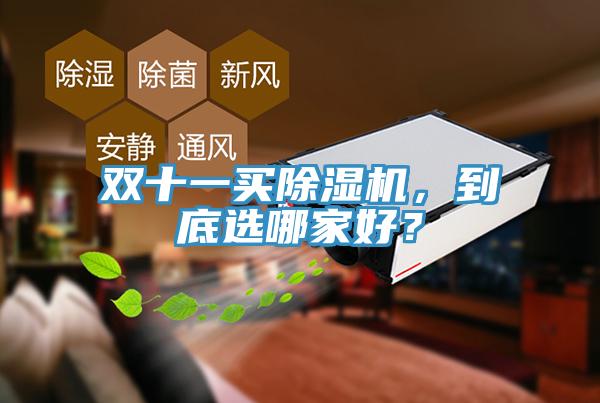 雙十一買除濕機，到底選哪家好？