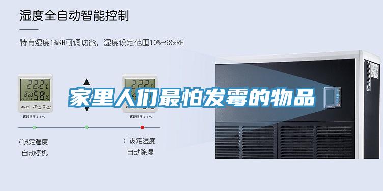 家里人們最怕發霉的物品