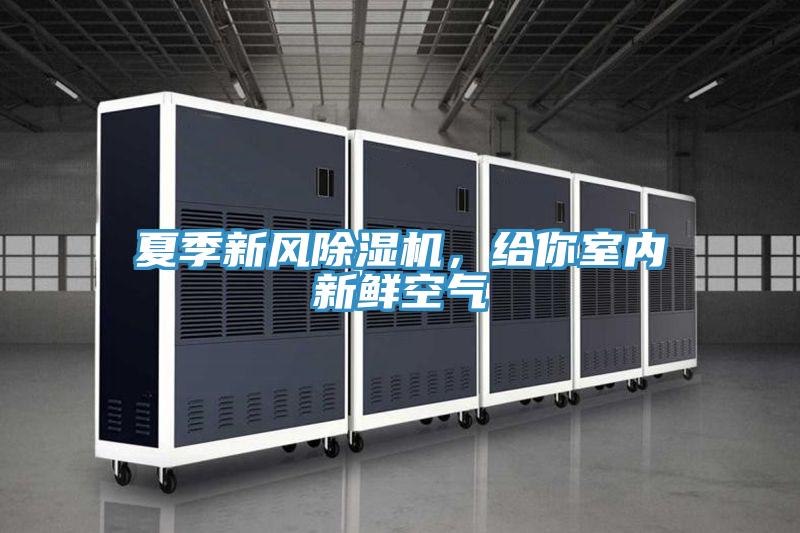 夏季新風(fēng)除濕機(jī)，給你室內(nèi)新鮮空氣