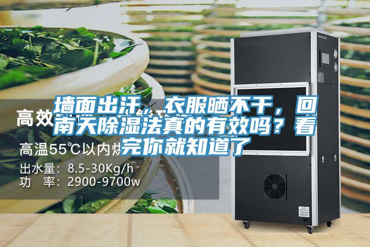 墻面出汗，衣服曬不干，回南天除濕法真的有效嗎？看完你就知道了