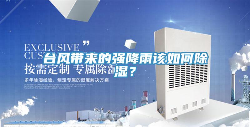 臺(tái)風(fēng)帶來的強(qiáng)降雨該如何除濕？