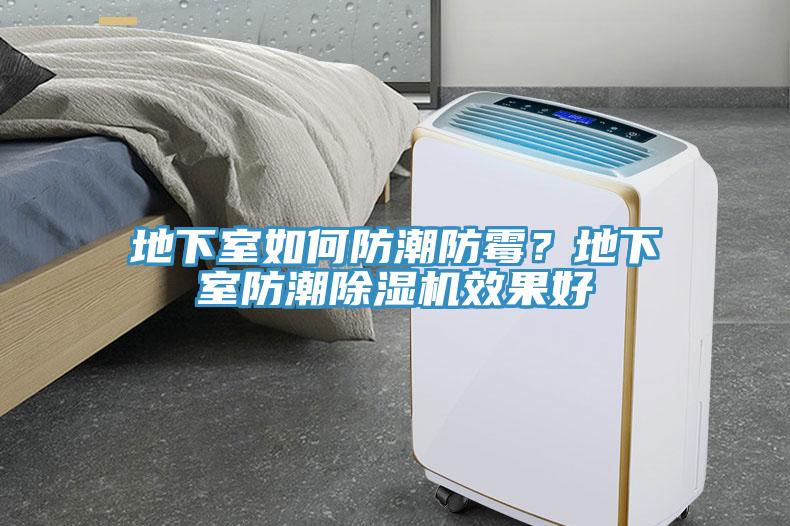 地下室如何防潮防霉？地下室防潮除濕機效果好