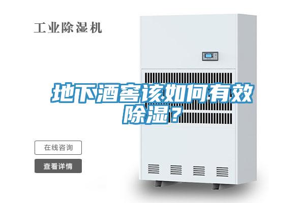 地下酒窖該如何有效除濕？