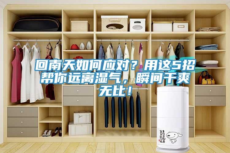 回南天如何應(yīng)對(duì)？用這5招幫你遠(yuǎn)離濕氣，瞬間干爽無(wú)比！
