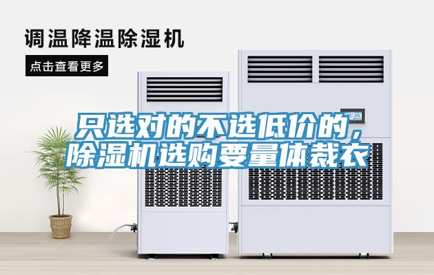 只選對的不選低價的,除濕機選購要量體裁衣