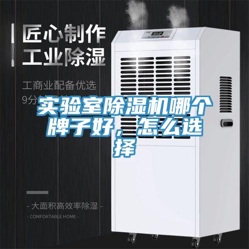 實(shí)驗(yàn)室除濕機(jī)哪個(gè)牌子好，怎么選擇