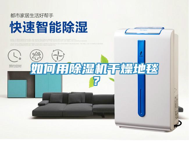 如何用除濕機干燥地毯？