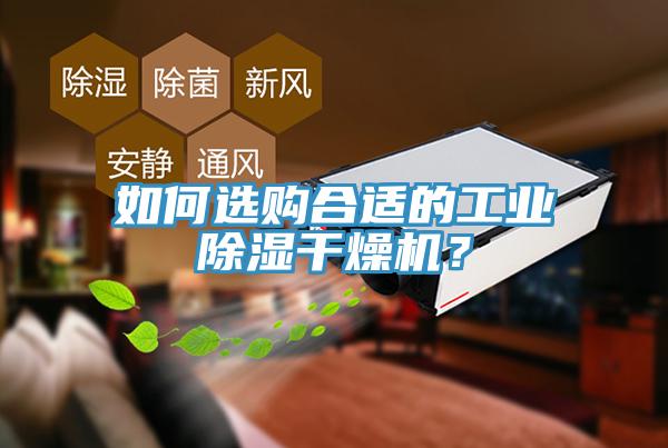 如何選購(gòu)合適的工業(yè)除濕干燥機(jī)?