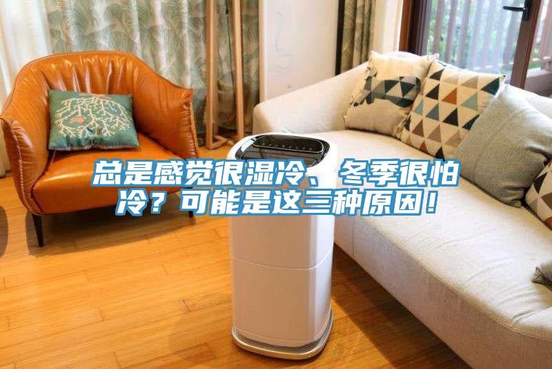 總是感覺很濕冷、冬季很怕冷？可能是這三種原因！