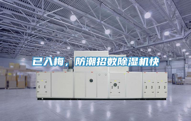 已入梅，防潮招數(shù)除濕機(jī)快