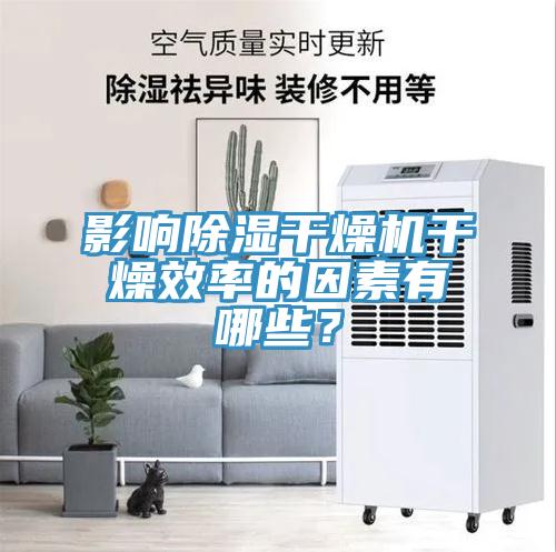 影響除濕干燥機干燥效率的因素有哪些？