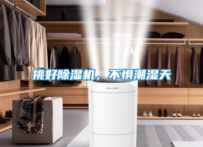 挑好除濕機，不懼潮濕天