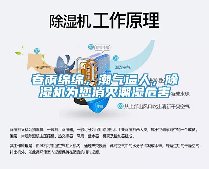 春雨綿綿，潮氣逼人，除濕機為您消滅潮濕危害