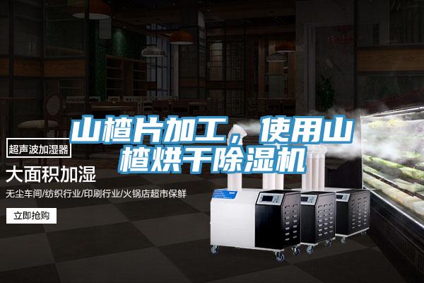 山楂片加工，使用山楂烘干除濕機(jī)