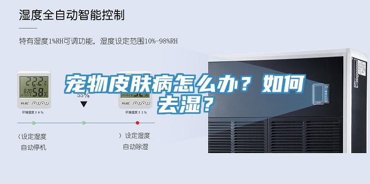 寵物皮膚病怎么辦？如何去濕？
