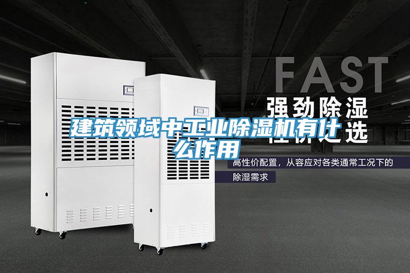 建筑領域中工業除濕機有什么作用