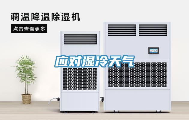 應對濕冷天氣