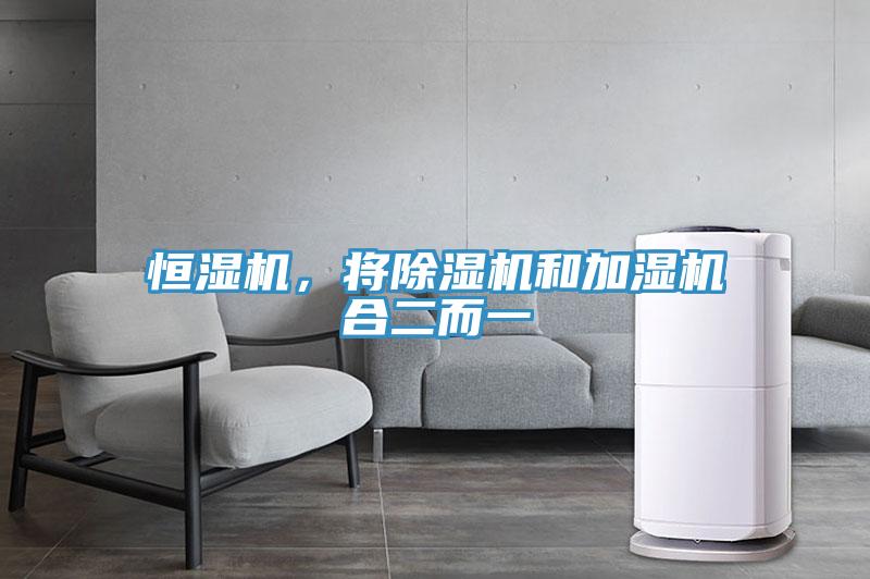 恒濕機(jī),將除濕機(jī)和加濕機(jī)合二而一
