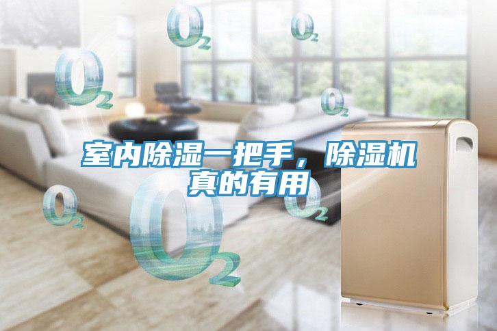 室內除濕一把手，除濕機真的有用