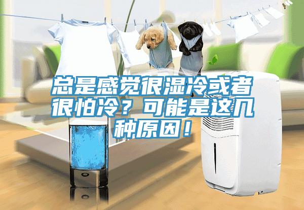 總是感覺很濕冷或者很怕冷？可能是這幾種原因！