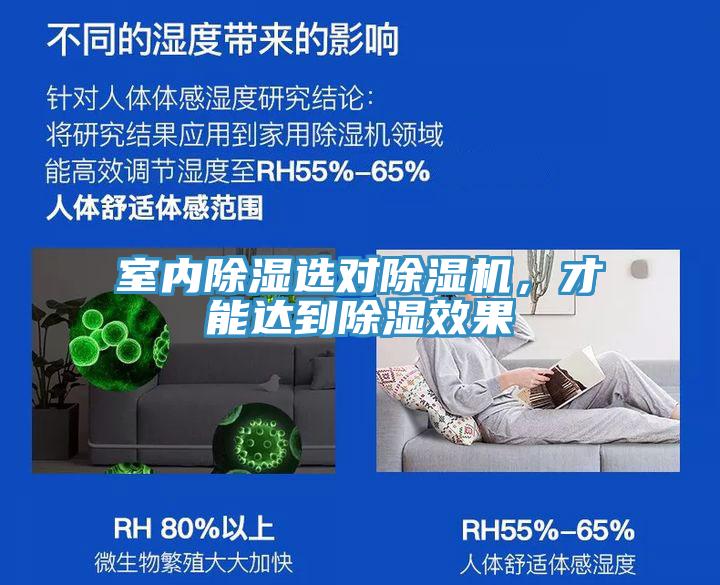 室內除濕選對除濕機，才能達到除濕效果