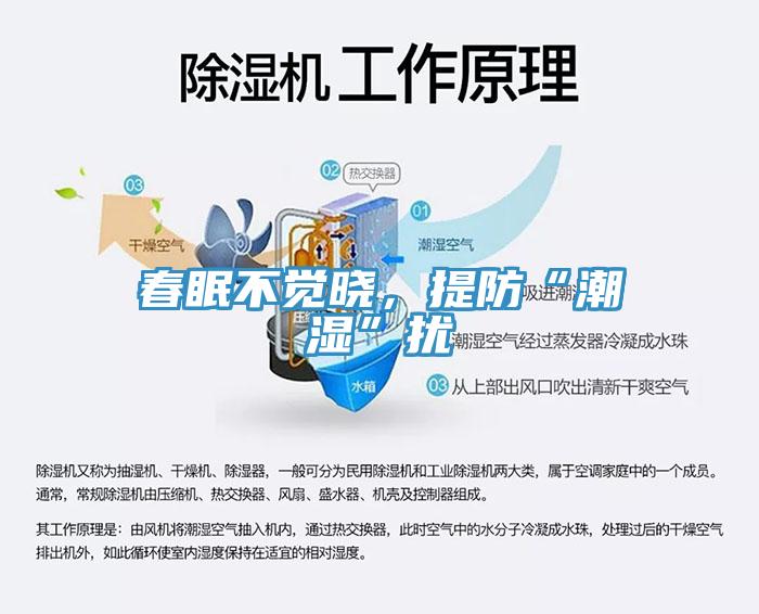 春眠不覺曉，提防“潮濕”擾