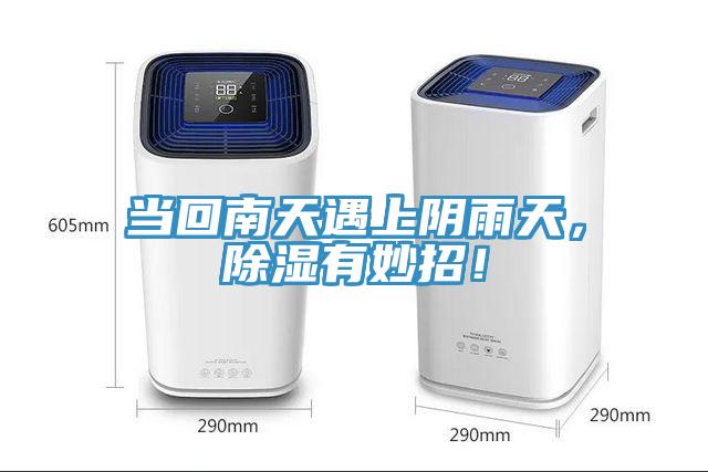 當回南天遇上陰雨天，除濕有妙招！