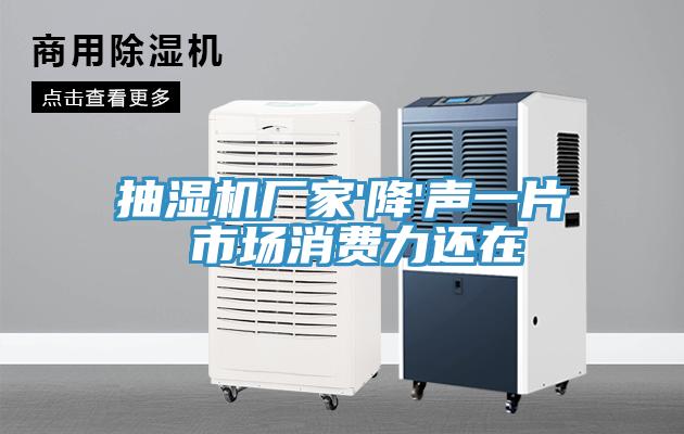 抽濕機(jī)廠家'降'聲一片 市場消費(fèi)力還在