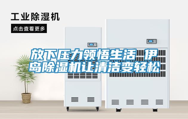 放下壓力領悟生活 伊島除濕機讓清潔變輕松