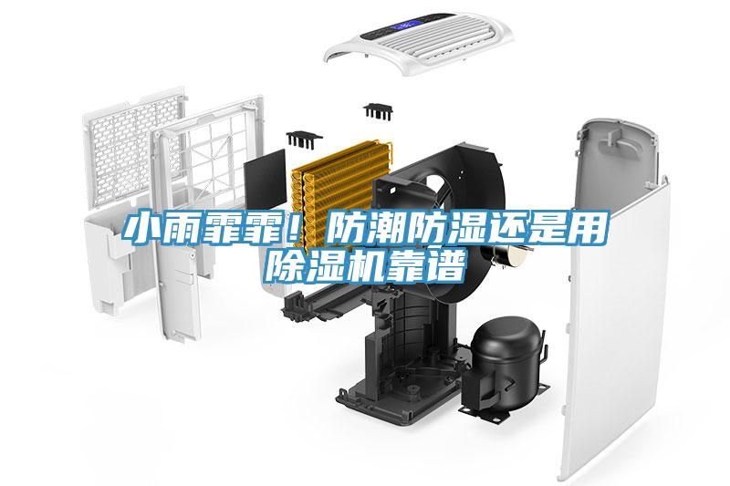 小雨霏霏！防潮防濕還是用除濕機靠譜