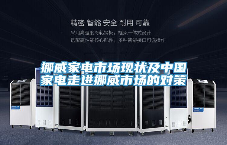 挪威家電市場現(xiàn)狀及中國家電走進挪威市場的對策