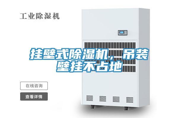 掛壁式除濕機，吊裝壁掛不占地